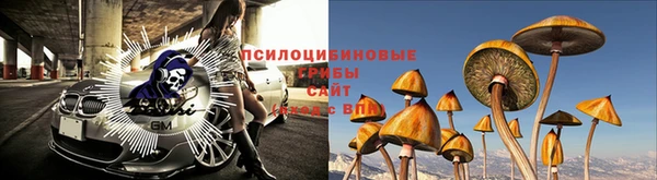 соль ск Дмитровск