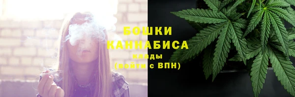соль ск Дмитровск