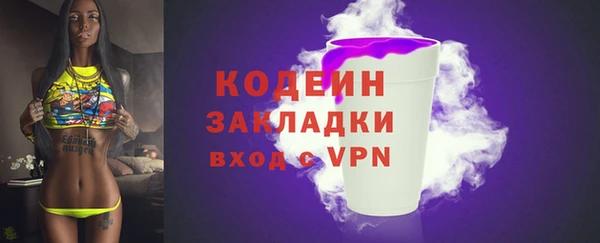 соль ск Дмитровск