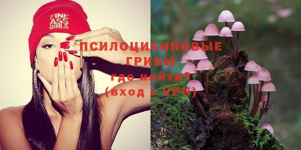 индика Билибино