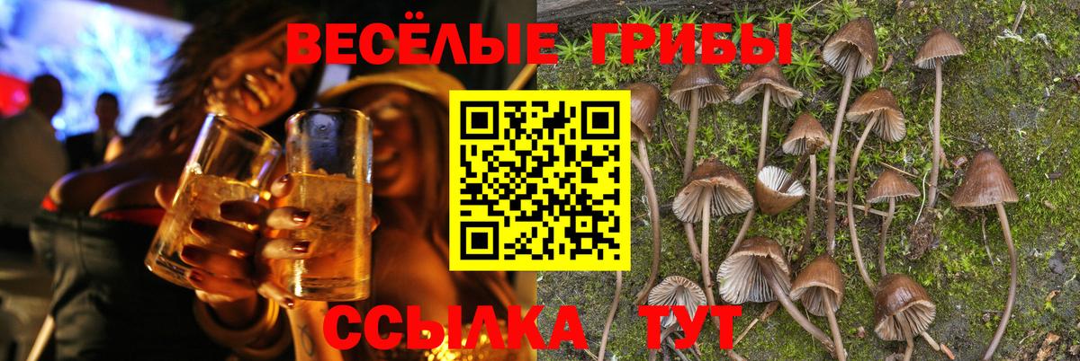 Галлюциногенные грибы прущие грибы Донской