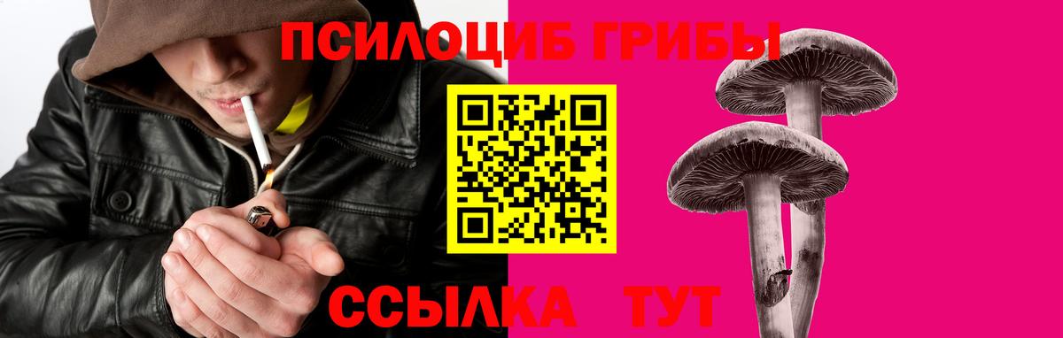 Галлюциногенные грибы мицелий  Псилоцибиновые грибы Psilocybine cubensis  Донской  Вход с VPN 